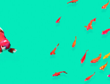 Struggling to Attract Qualified Candidates? Your Job Descriptions Might Be the Problem