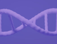 Employment Branding for Talent Attraction