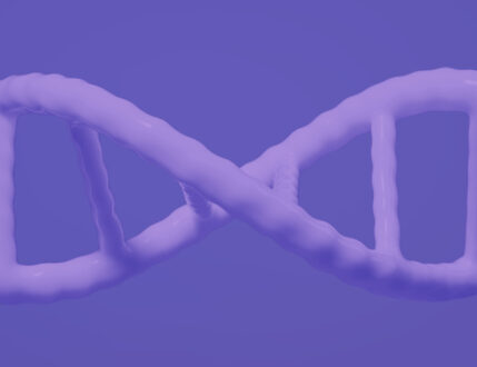 Employment Branding for Talent Attraction