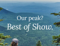 Our peak? Best of Show.