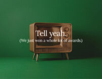 Tell yeah. (We just won a whole lot of awards.)